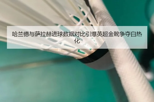 哈兰德与萨拉赫进球数据对比引爆英超金靴争夺白热化
